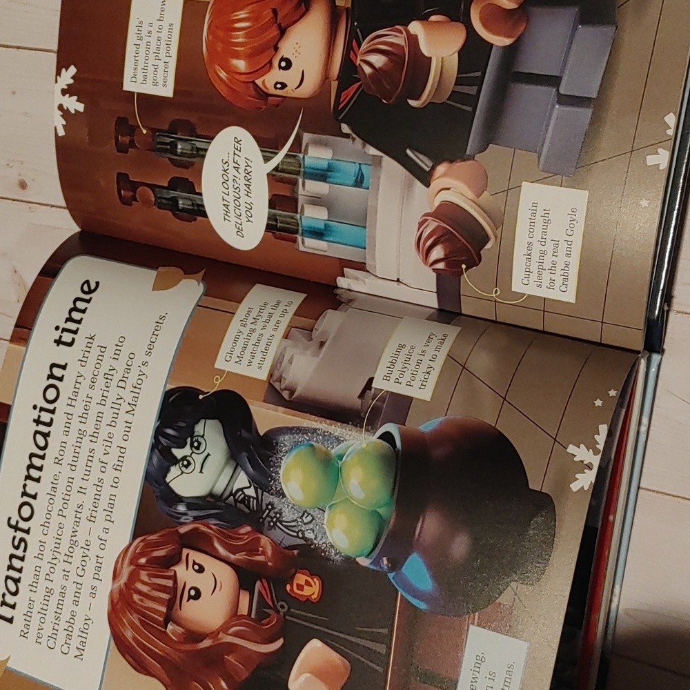 Hogwarts At Christmas Harry Potter Lego Children Non Fiction Book DK - Picture 5 of 7